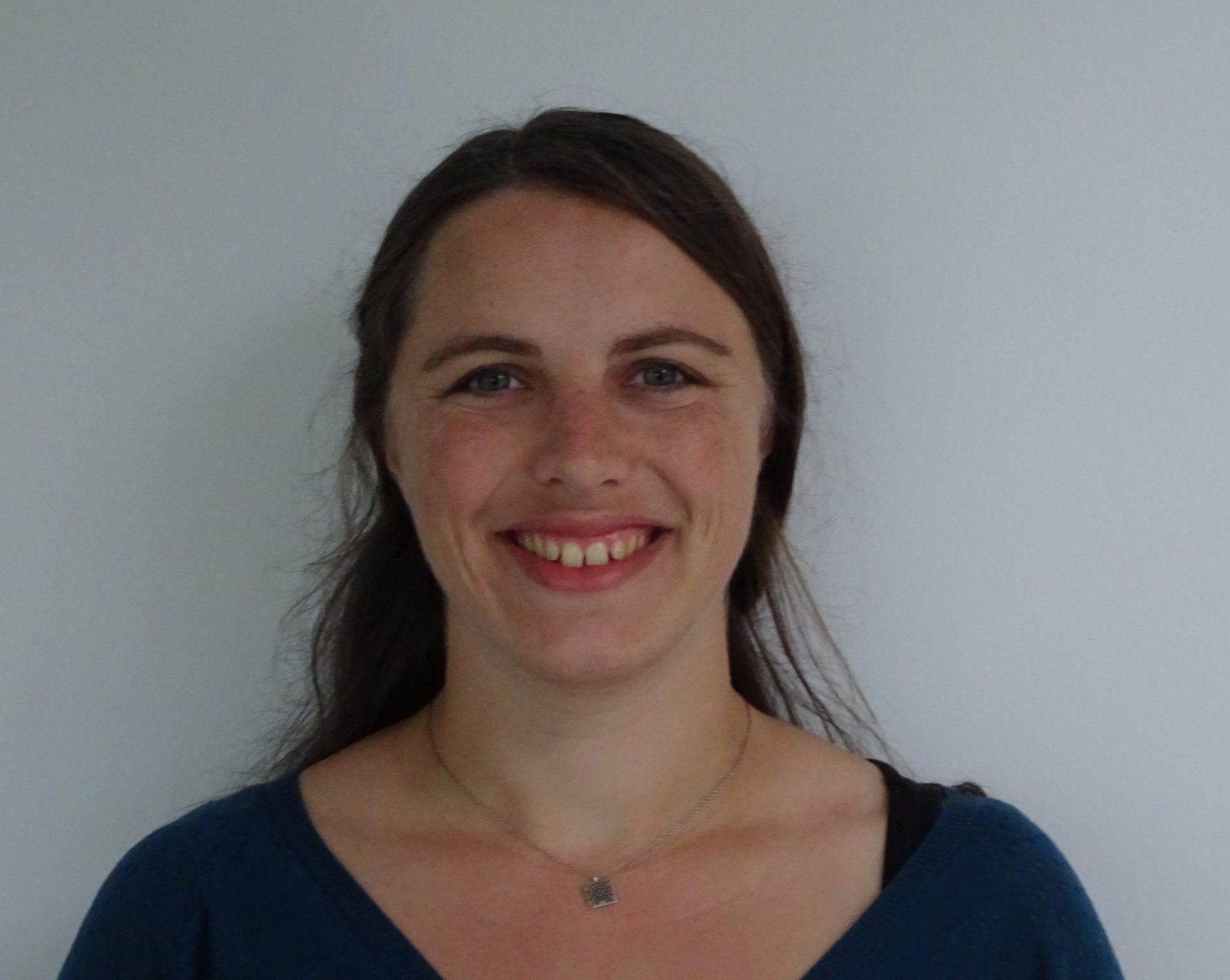 Professeur d'accordéon diatonique et chromatique