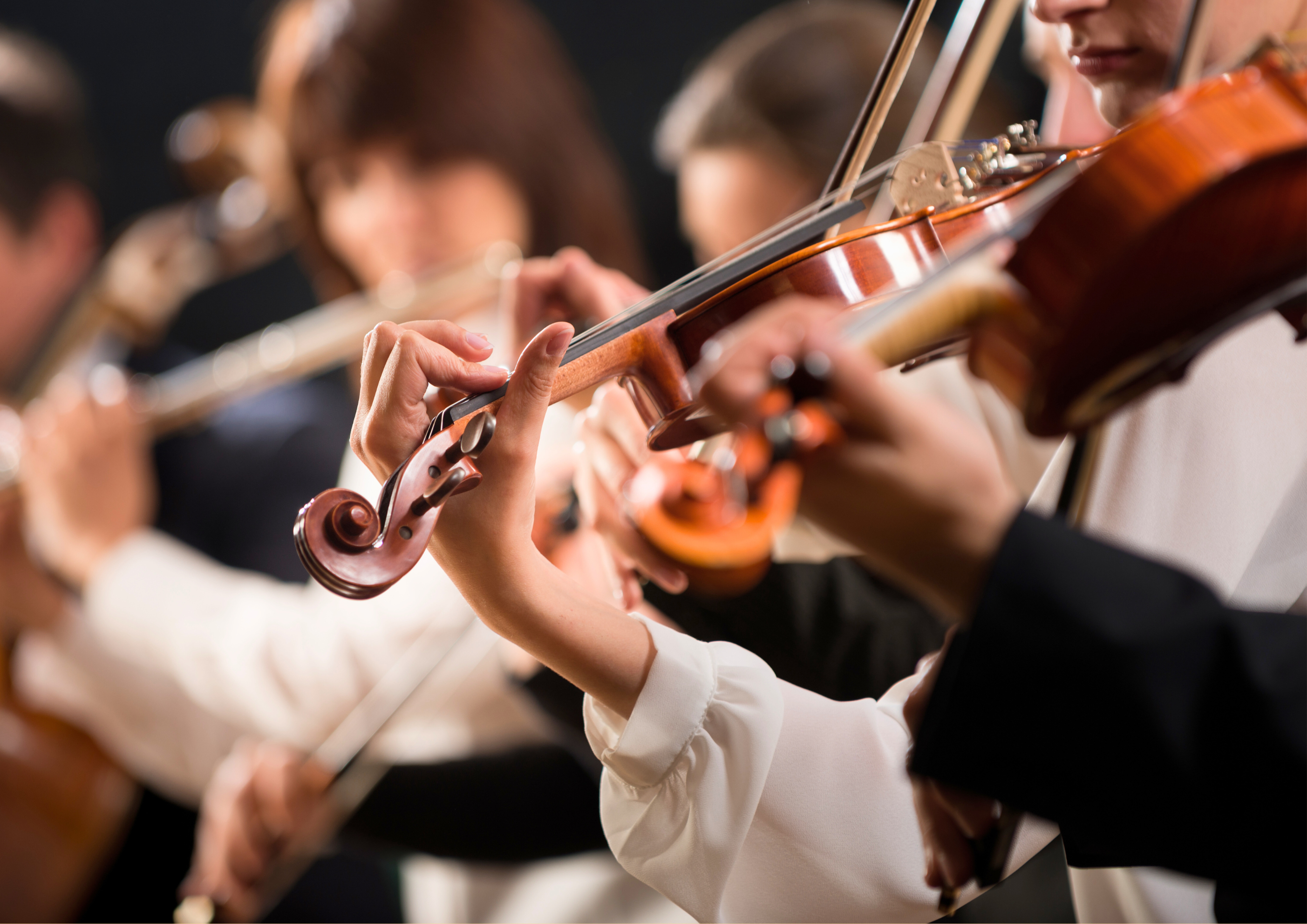 Ensemble à cordes, orchestres ou harmonie, les pratiques collectives de l'EMI sont nombreuses