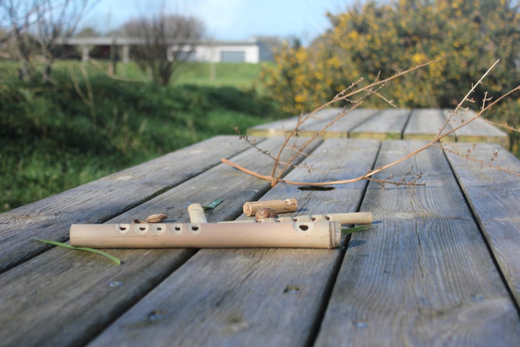 stage de musique verte, découvre les instruments de la nature à l'Ecole de musique d'Iroise