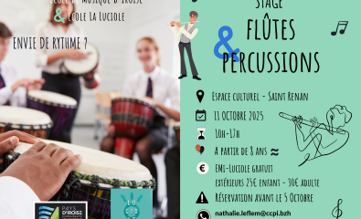 Stage flûte percussions